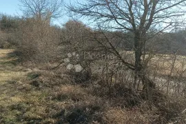 Poljoprivredno zemljište u okolici Lindara, Pazin - Okolica, Tierra