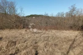 Poljoprivredno zemljište u okolici Lindara, Pazin - Okolica, Terreno