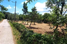 Građevinsko zemljište na lijepoj lokaciji, Marčana, Terreno