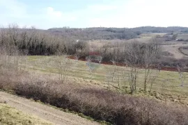 Istra, Vižinada- Građevinsko i poljoprivredno zemljište, Vižinada, Terreno