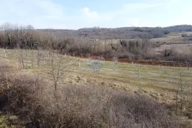 Istra, Vižinada- Građevinsko i poljoprivredno zemljište, Vižinada, Arazi