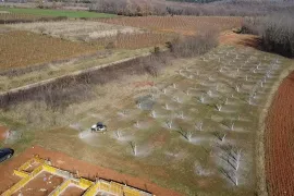 Istra, Vižinada- Građevinsko i poljoprivredno zemljište, Vižinada, Земля