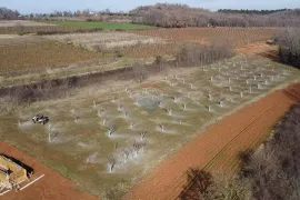 Istra, Vižinada- Građevinsko i poljoprivredno zemljište, Vižinada, Terrain