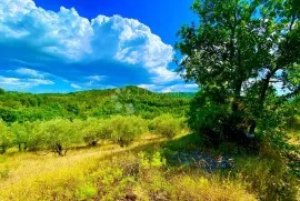 Građevinsko zemljište centralna Istra, Cerovlje, Zemljište