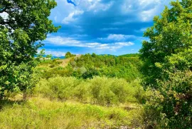 Građevinsko zemljište centralna Istra, Cerovlje, Zemljište