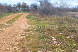 Istra, Hrboki - građevinska parcela 771 m2, 3 km od mora, Barban, Land