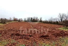 PROSTRANO GRAĐEVINSKO ZEMLJIŠTE GOSPODARSKE NAMJENE, Marčana, Земля