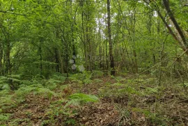 Samodostatno imanje nedaleko grada s izvorom, bez neposrednih susjeda, Gvozd, Tierra