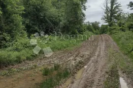 Samodostatno imanje nedaleko grada s izvorom, bez neposrednih susjeda, Gvozd, Tierra