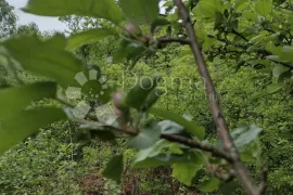 Zemljište za eko poljoprivredu, Dugo Selo Lasinjsko, Gvozd, Tierra