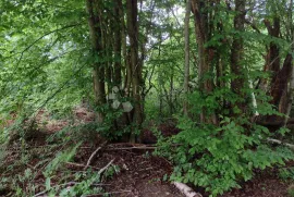 Zemljište za eko poljoprivredu, Dugo Selo Lasinjsko, Gvozd, Tierra