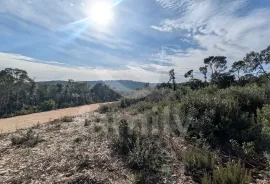 ZEMLJIŠTE NA ATRAKTIVNOJ LOKACIJI BLIZU MORA, Marčana, Land