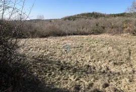 Istra, Buje okolica -kombinacija građevinskog i poljoprivrednog zemljišta, Oprtalj, Land