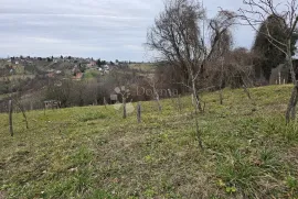 Voćnjak po super cijeni, Varaždinske Toplice, Tierra