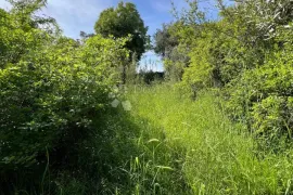 Pomer, poljoprivredno zemljište, Medulin, Terreno