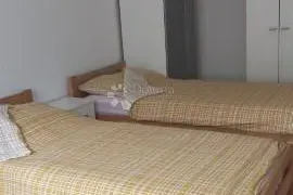 Najam stana za radnike, Viškovo, Appartement