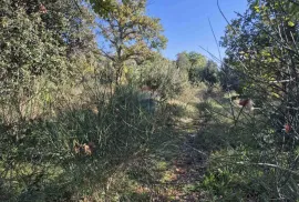 Istra, Vrsar parcela prvi red do mora 4000m2, Vrsar, Land