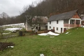 SEOSKO IMANJE SA ŠUMOM I ORANICAMA BUŽIN, Gospić - Okolica, Haus