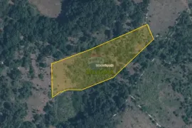 Istra, Baderna - pašnjak 8421 m2, Poreč, Land