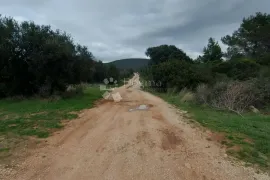 Građevinski teren s pogledom, 100 m od mora, Sveti Filip I Jakov, Terreno