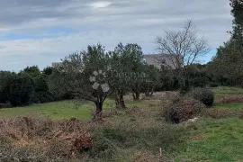 Građevinski teren s pogledom, 100 m od mora, Sveti Filip I Jakov, Terreno