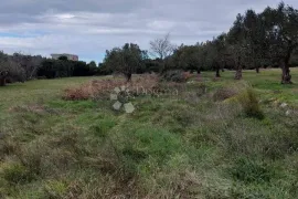 Građevinski teren s pogledom, 100 m od mora, Sveti Filip I Jakov, Terreno