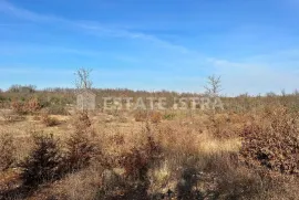 Prodaje se poljoprivredno zemljište u Bonašinima, Svetvinčenat, Terreno