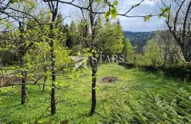 Gorski kotar, Stara Sušica - građevinski teren sa građevinskom dozvolom i projektom moderne kuće za odmor, Ravna Gora, Terreno