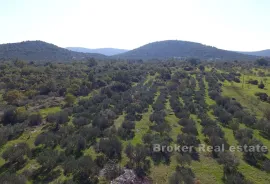 Prostrano zemljište u blizini mora, Marina, Terra