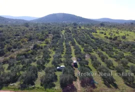 Prostrano zemljište u blizini mora, Marina, Terra