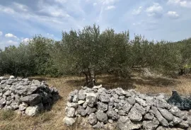 Građevinsko zemljište s projektom, Omiš, Tierra