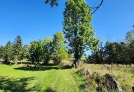 Gorski kotar, Vrbovsko - poljoprivredni teren 5990 m2, Vrbovsko, Arazi