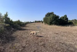 Istra, okolica Marčane, poljoprivredno zemljište, Marčana, Terra