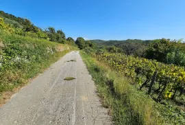 Stancija u okolici Grožnjana s velikim terenom i otvorenim pogledom, Grožnjan, Дом