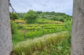 Stancija u okolici Grožnjana s velikim terenom i otvorenim pogledom, Grožnjan, Дом