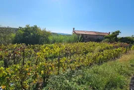 Stancija u okolici Grožnjana s velikim terenom i otvorenim pogledom, Grožnjan, Дом