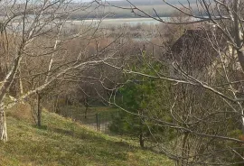 Plac sa pogledom na Dunav, Stara Pazova, Terrain