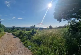 Istra,Kaštel-5 Građevinskih zemljišta s dozvolom, Buje, Terrain