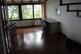 REŠETARI - posjed sa 3 kuće i 9.000 m2 građevinskog zemljišta (dozvola za starački dom), Kastav, بيت