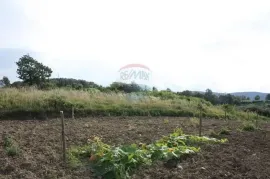 TRVIŽ - 1.428 m2 građevinsko zemljište u cijelosti, Pazin - Okolica, Zemljište