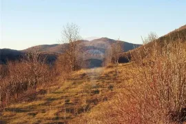 ISTRA- POLJ. ZEMLJIŠTE -32700M2, PORED ASFALTA, Žminj, Zemljište