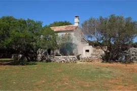 VELIKO ZEMLJIŠTE NA CRESU SA STARINOM, Cres, Ev