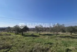 Istra, Bale, građevinsko i poljoprivredno zemljište s pogledom na more, Bale, Land