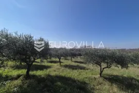 Istra, Bale, građevinsko i poljoprivredno zemljište s pogledom na more, Bale, Land