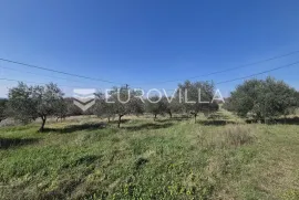 Istra, Bale, građevinsko i poljoprivredno zemljište s pogledom na more, Bale, Land