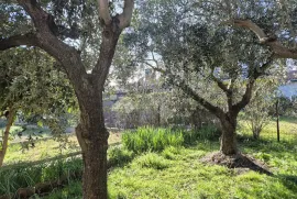 Prostrana kuća s ljetnom kuhinjom na odličnoj lokaciji, Pula, Kuća