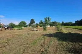 PROSTRANO GRAĐEVINSKO ZEMLJIŠTE - 5100 M2, Žminj, Land