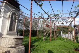 Istra, Umag okolica - samostojeća kuća sa 4 stana i velikom okućnicom, Umag, Σπίτι