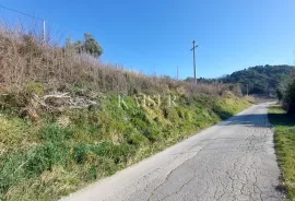 Istra, Buje okolica - građevinsko zemljište sa prekrasnim pogledom, Buje, Land