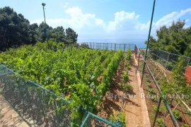 Veliko imanje s kućama za odmor i turizam, Omiš, Ev